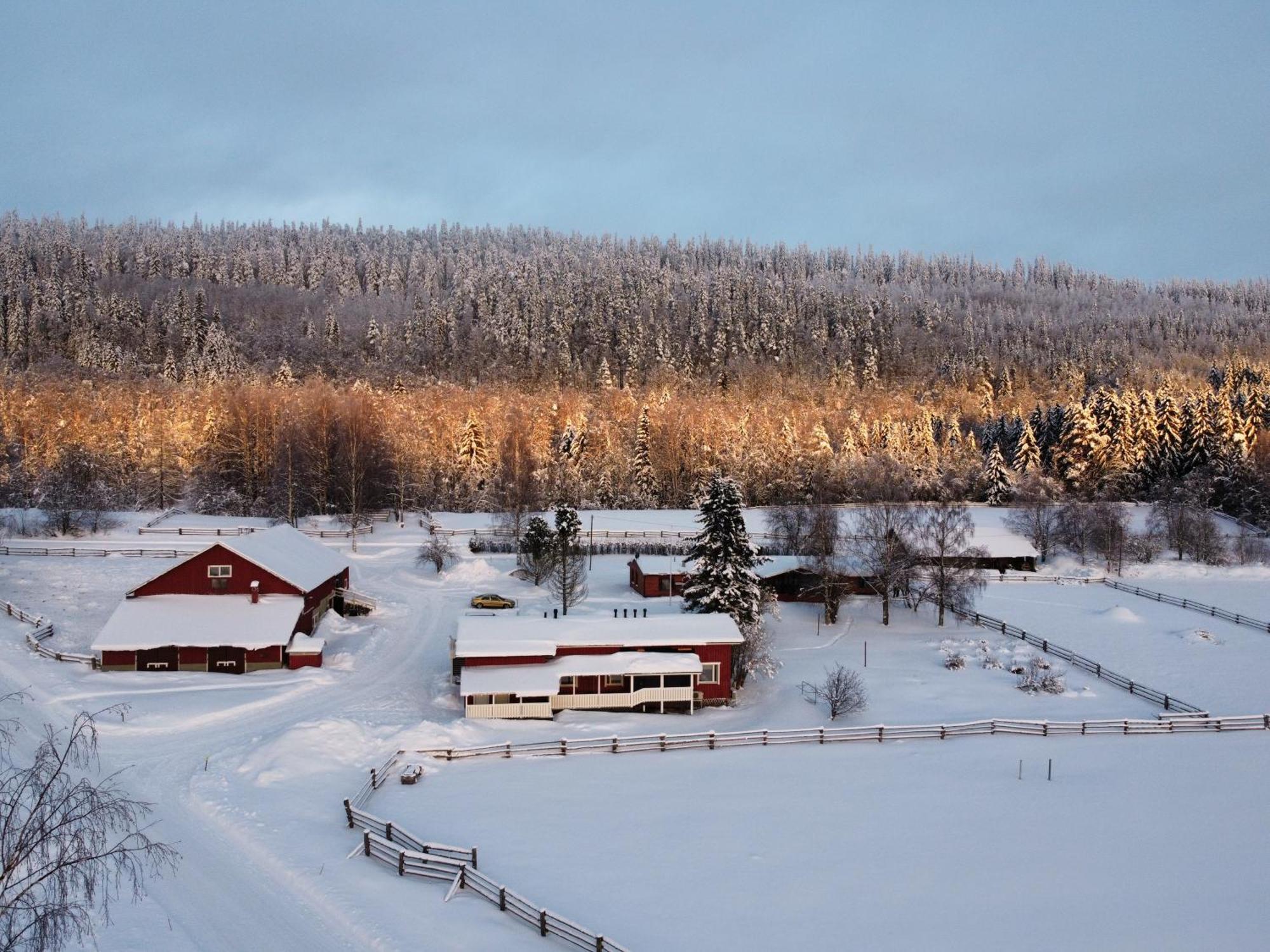 Villa Paimentupa à Kolinkylä Extérieur photo