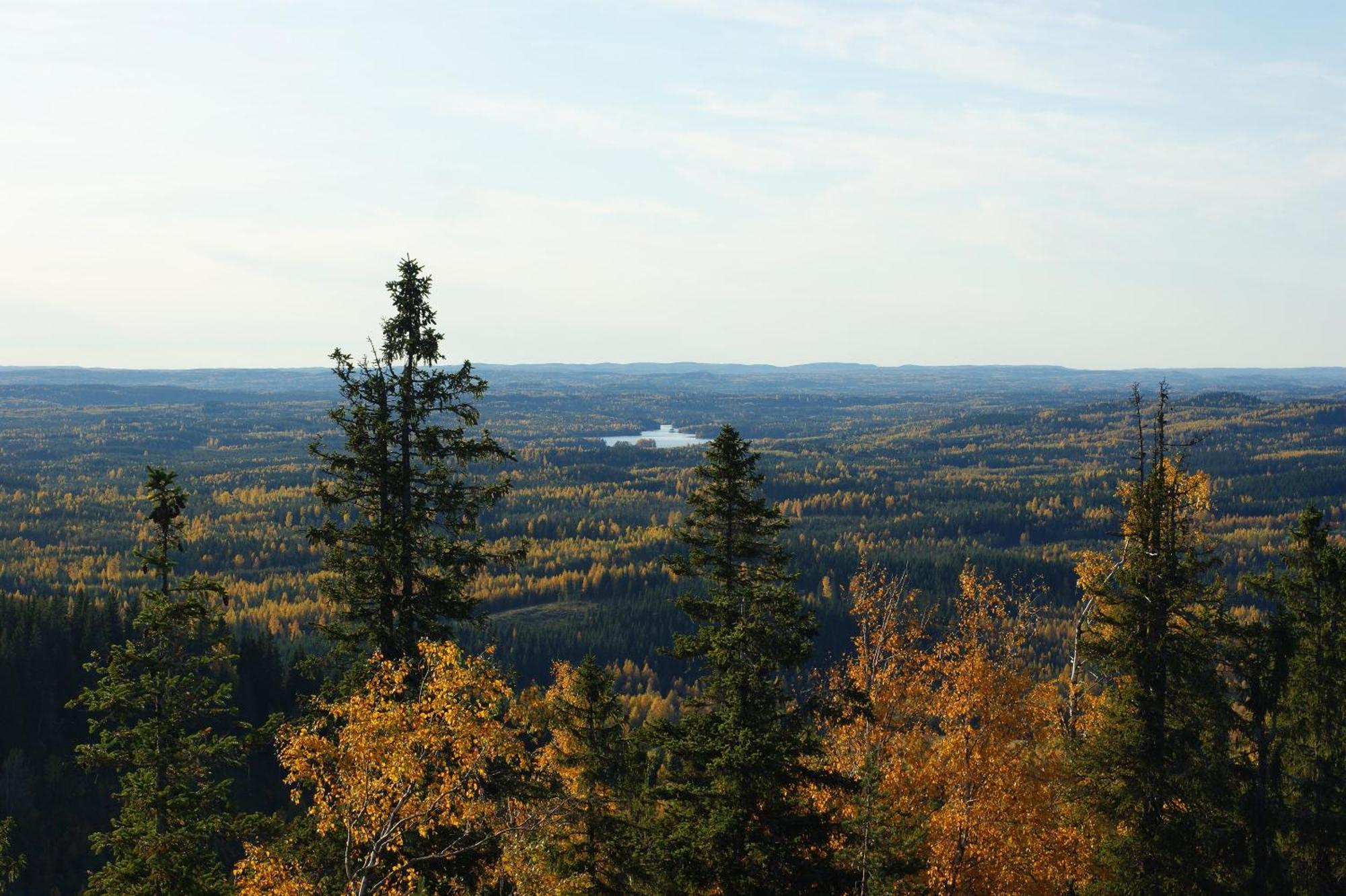 Villa Paimentupa à Kolinkylä Extérieur photo